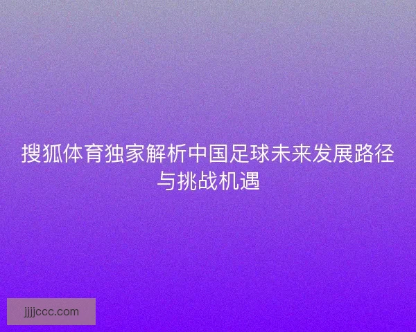 搜狐体育独家解析中国足球未来发展路径与挑战机遇 搜狐体育独家解析中国足球未来发展路径与挑战机遇